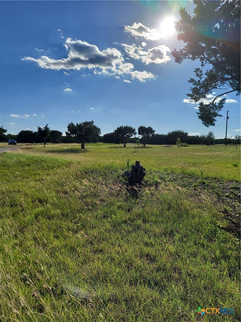 2.4 acres in Williamson County - photo 5