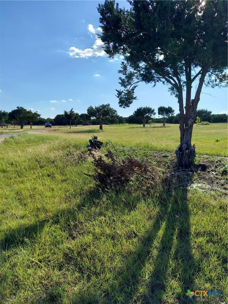 2.4 acres in Williamson County - photo 4