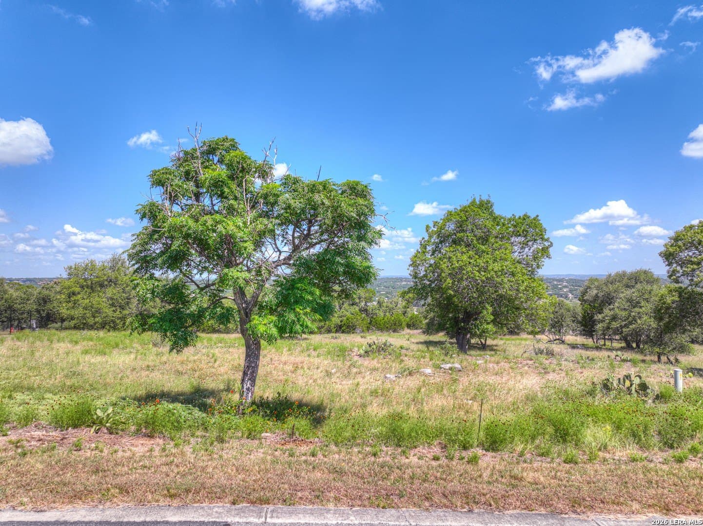 0.55 acres in Comal County gallery image 3