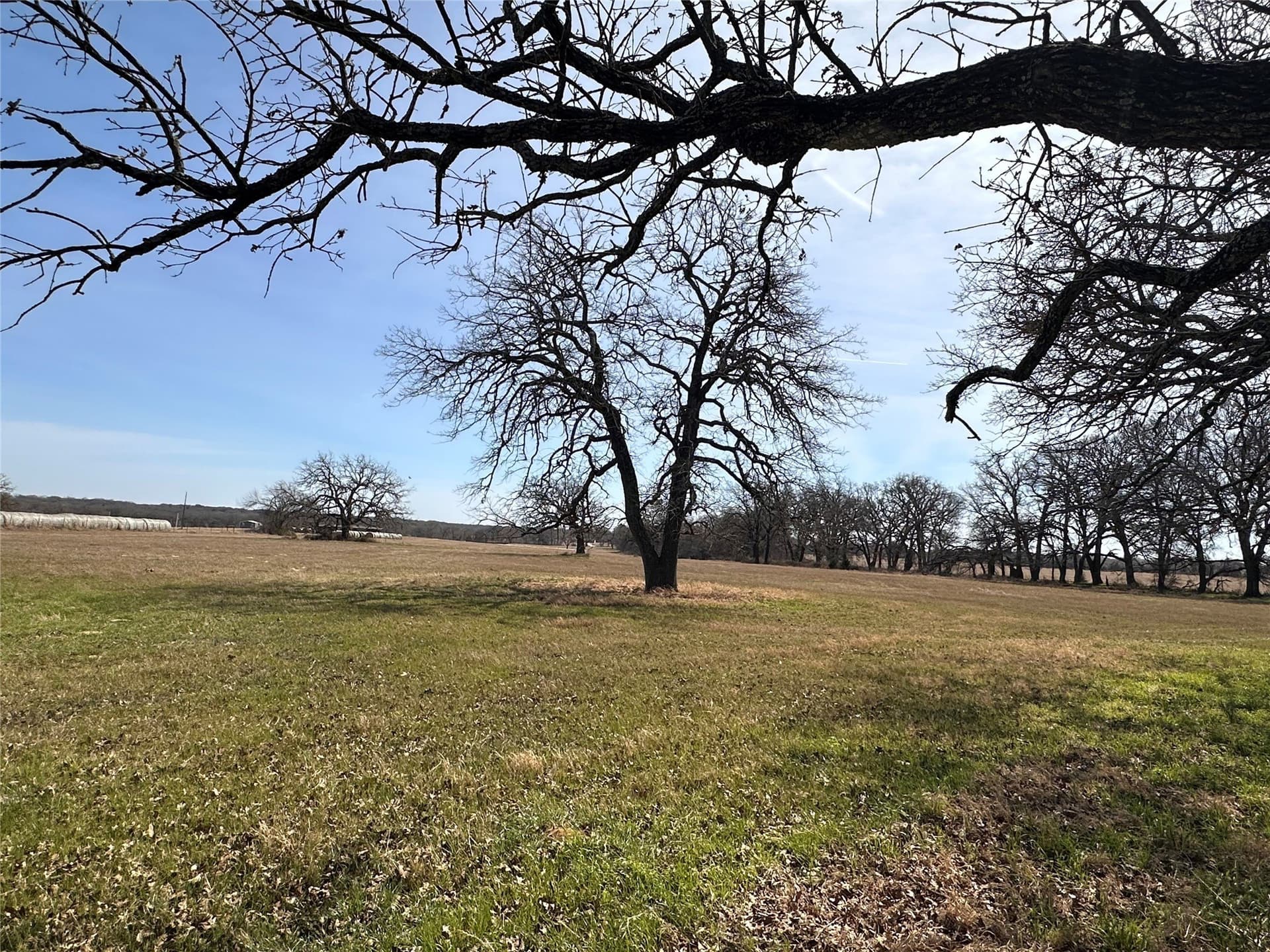 14.7 acres in Hill County - photo 14