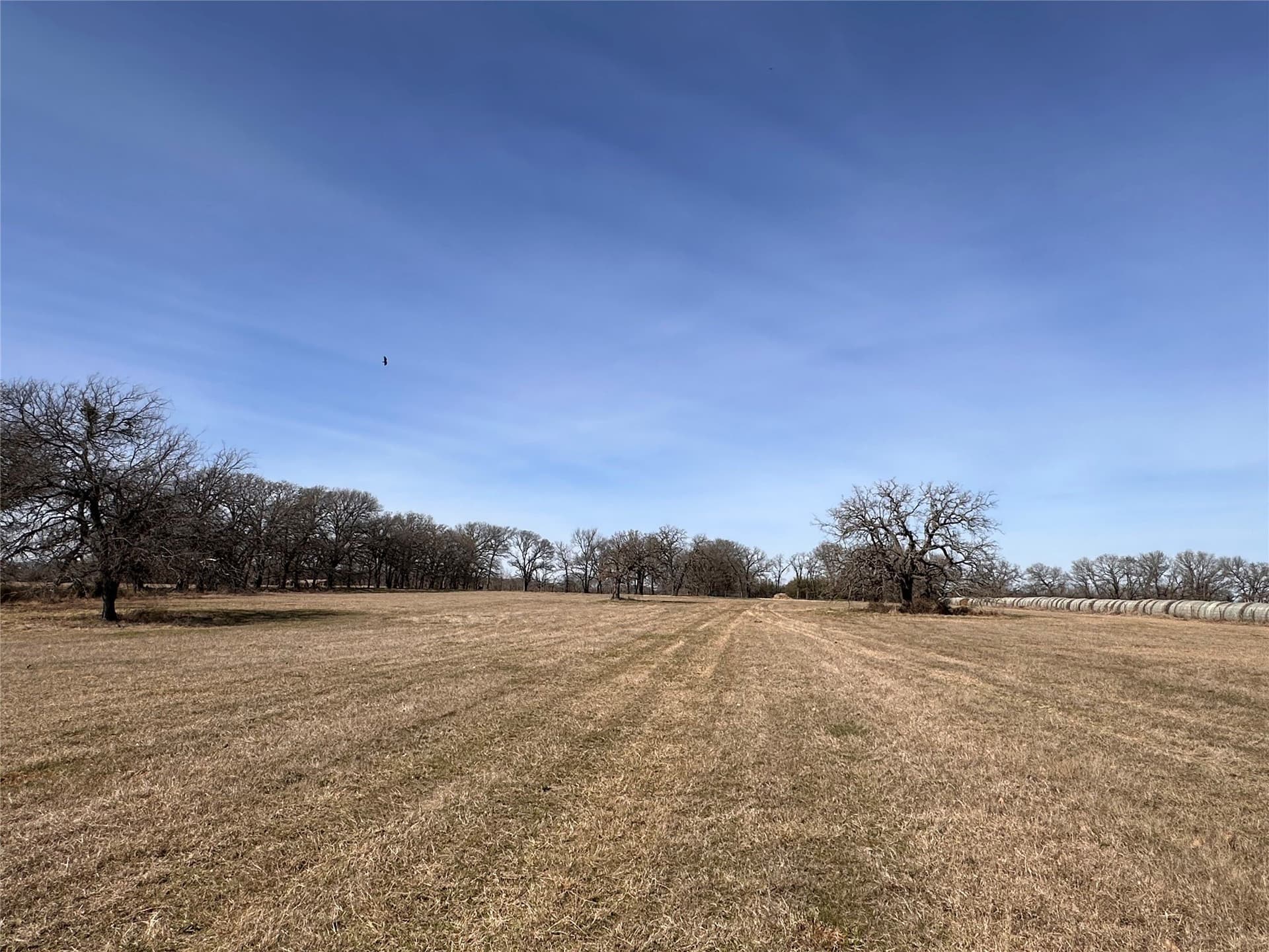 14.7 acres in Hill County - photo 30