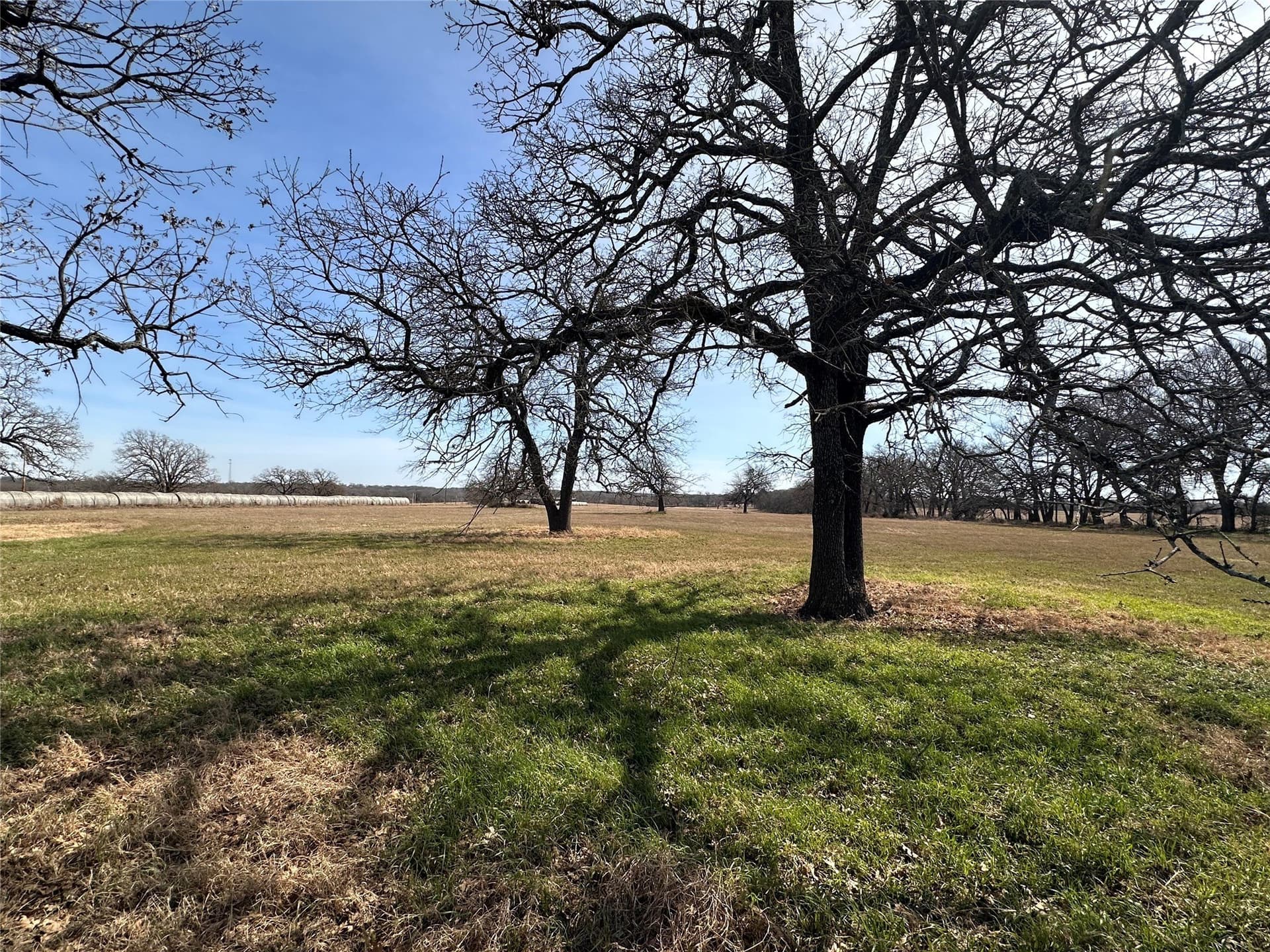 14.7 acres in Hill County - photo 15
