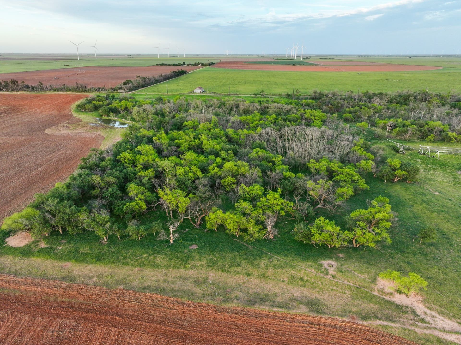 198.04 acres in Haskell County - photo 38
