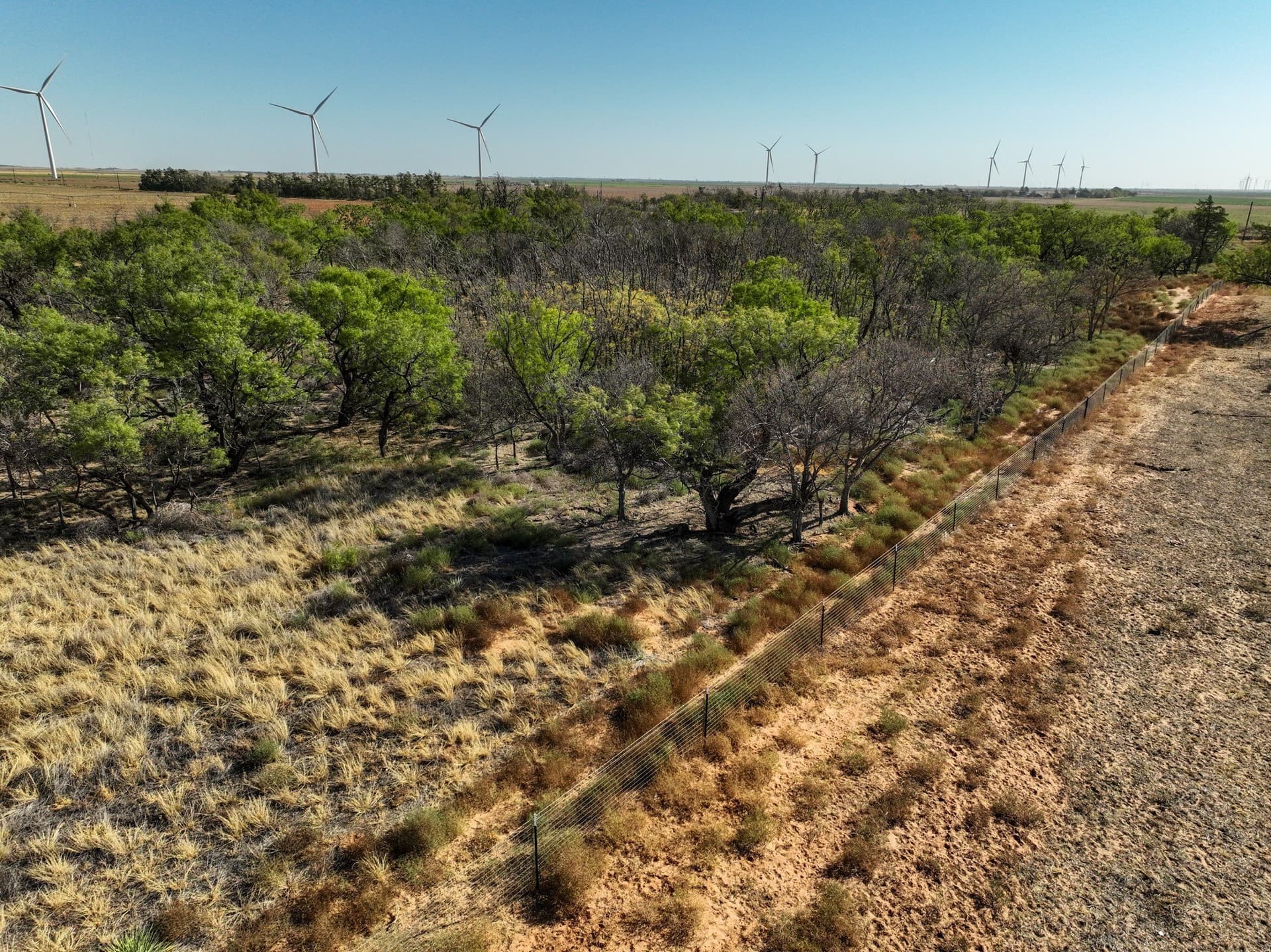 198.04 acres in Haskell County - photo 24