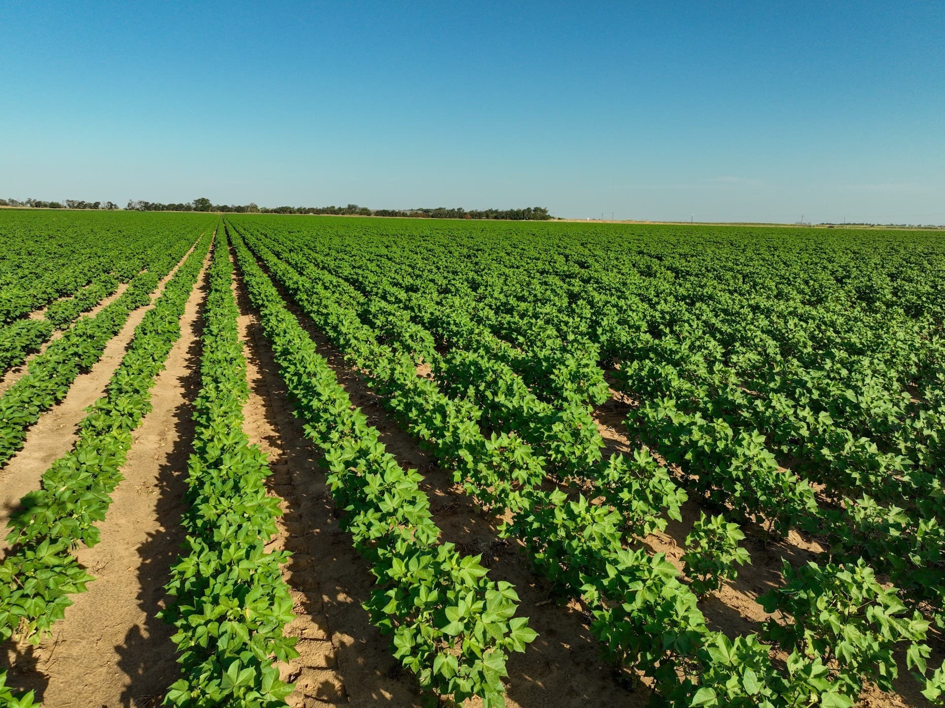 198.04 acres in Haskell County - photo 4