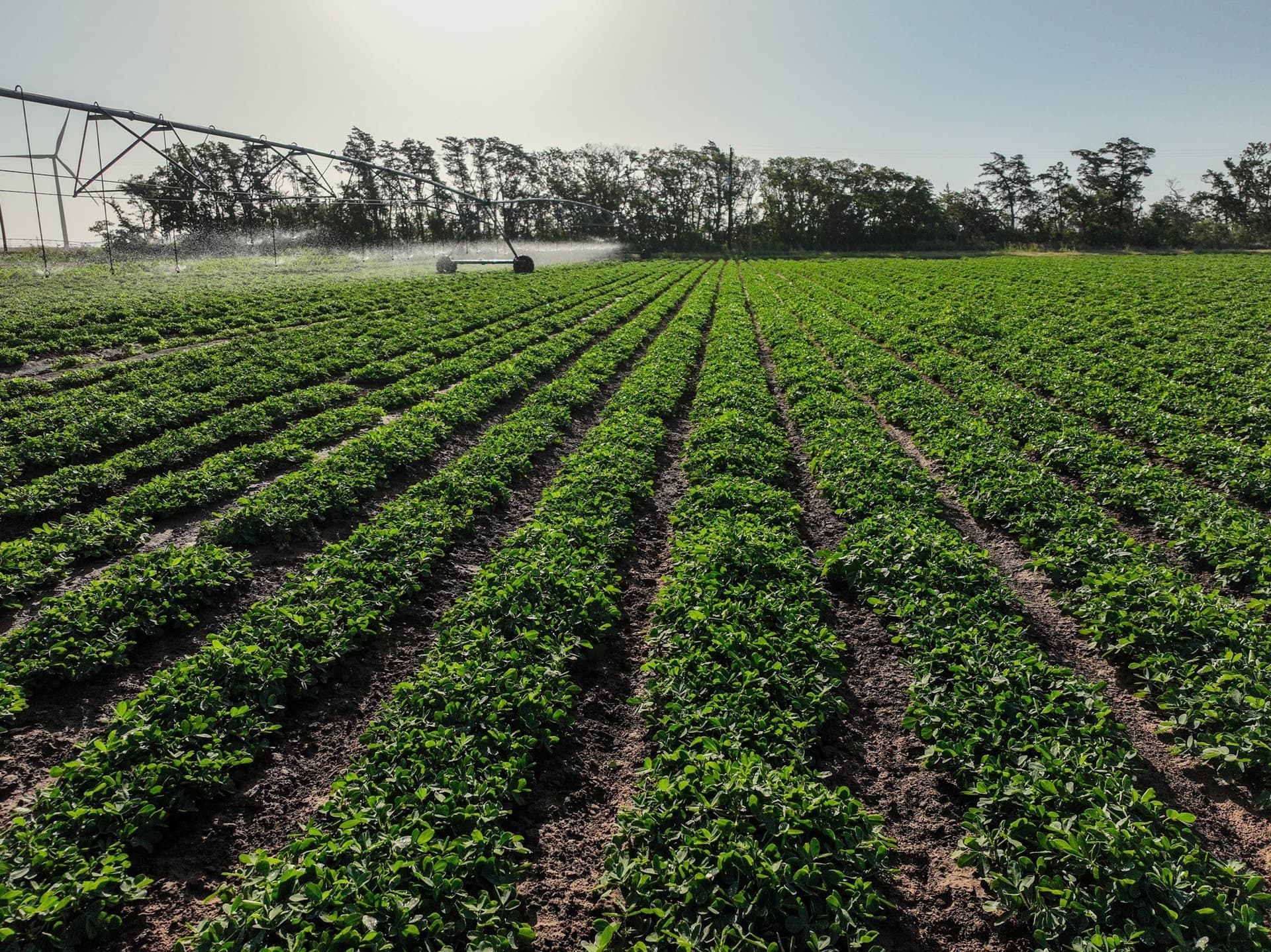 198.04 acres in Haskell County - photo 2
