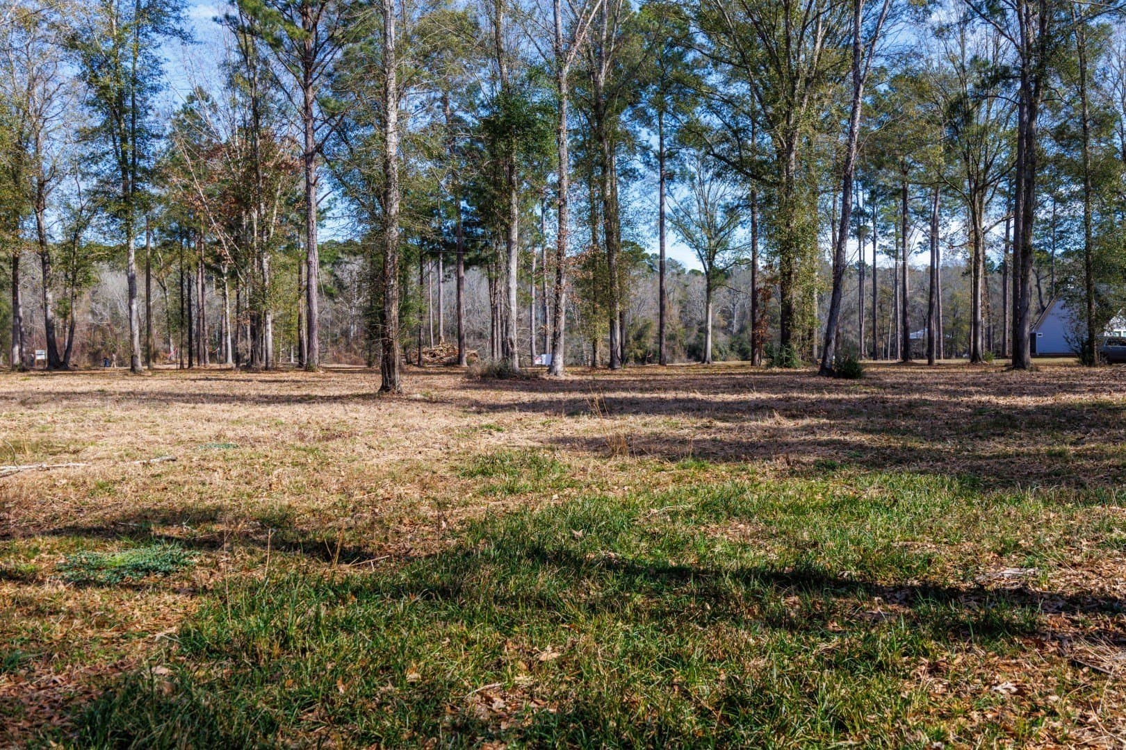 0.7 acres in Shelby County - photo 14
