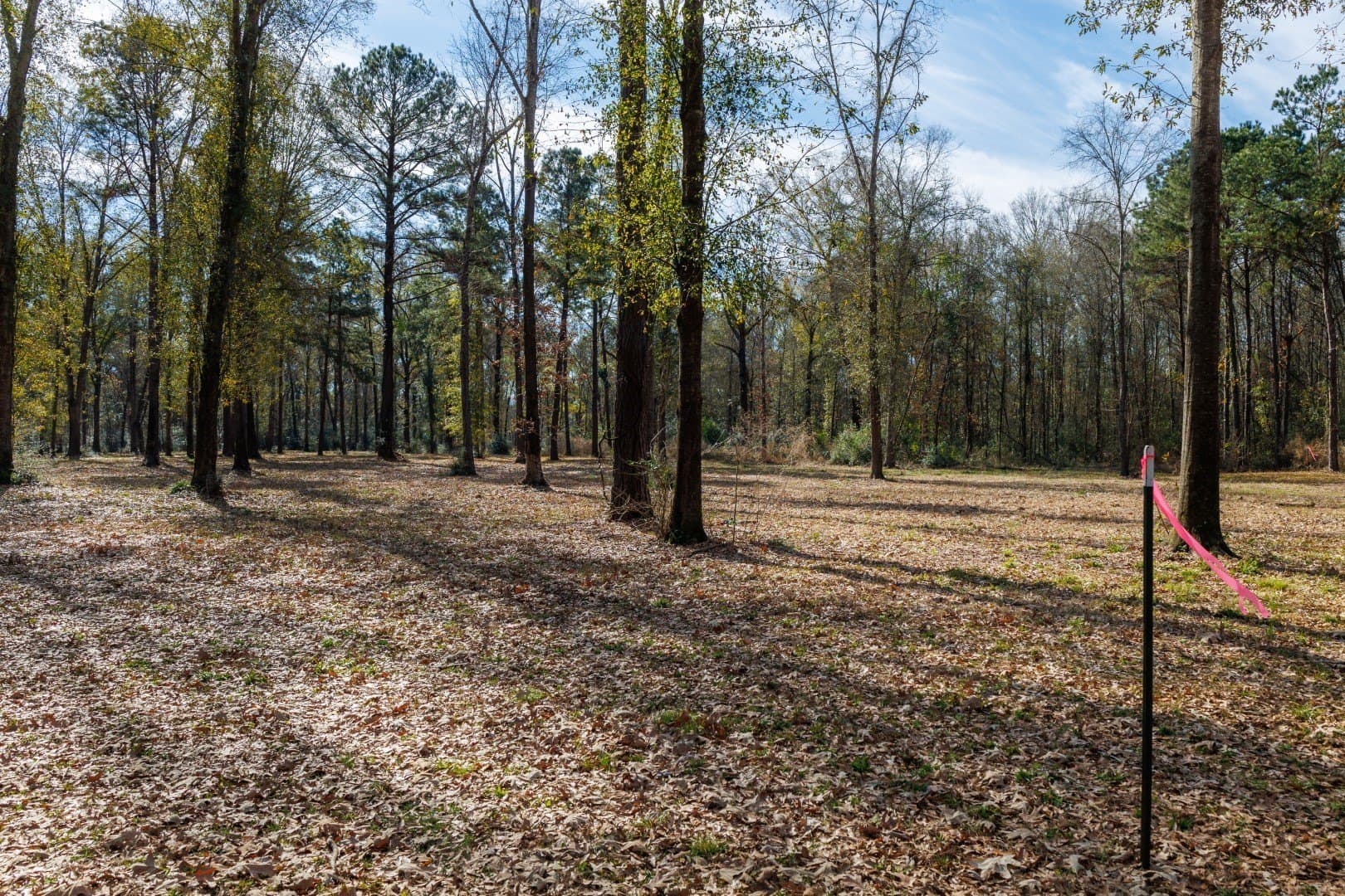 0.7 acres in Shelby County - photo 13