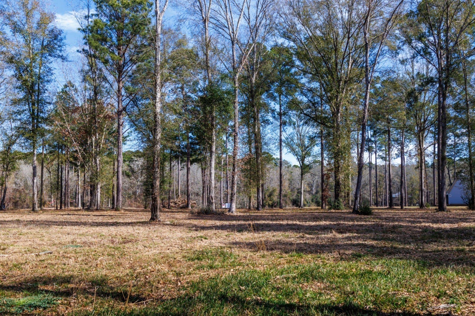 0.7 acres in Shelby County - photo 15