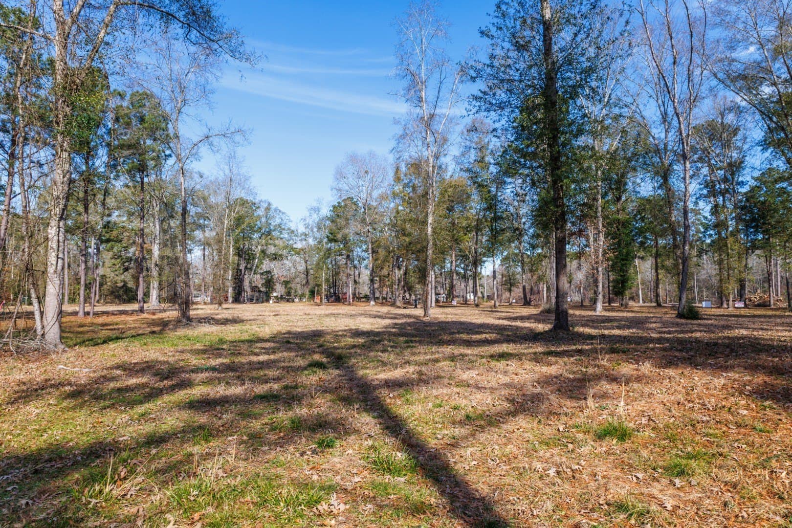 0.7 acres in Shelby County - photo 16