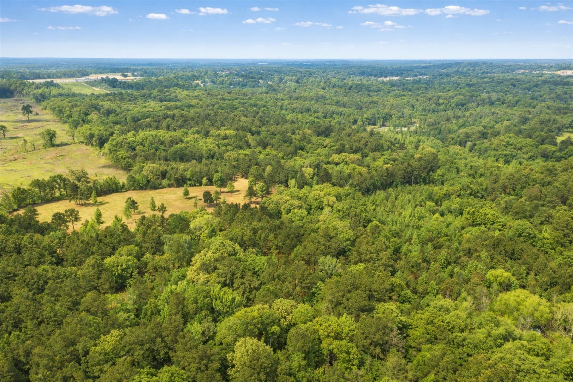 53.99 acres in Smith County - photo 6