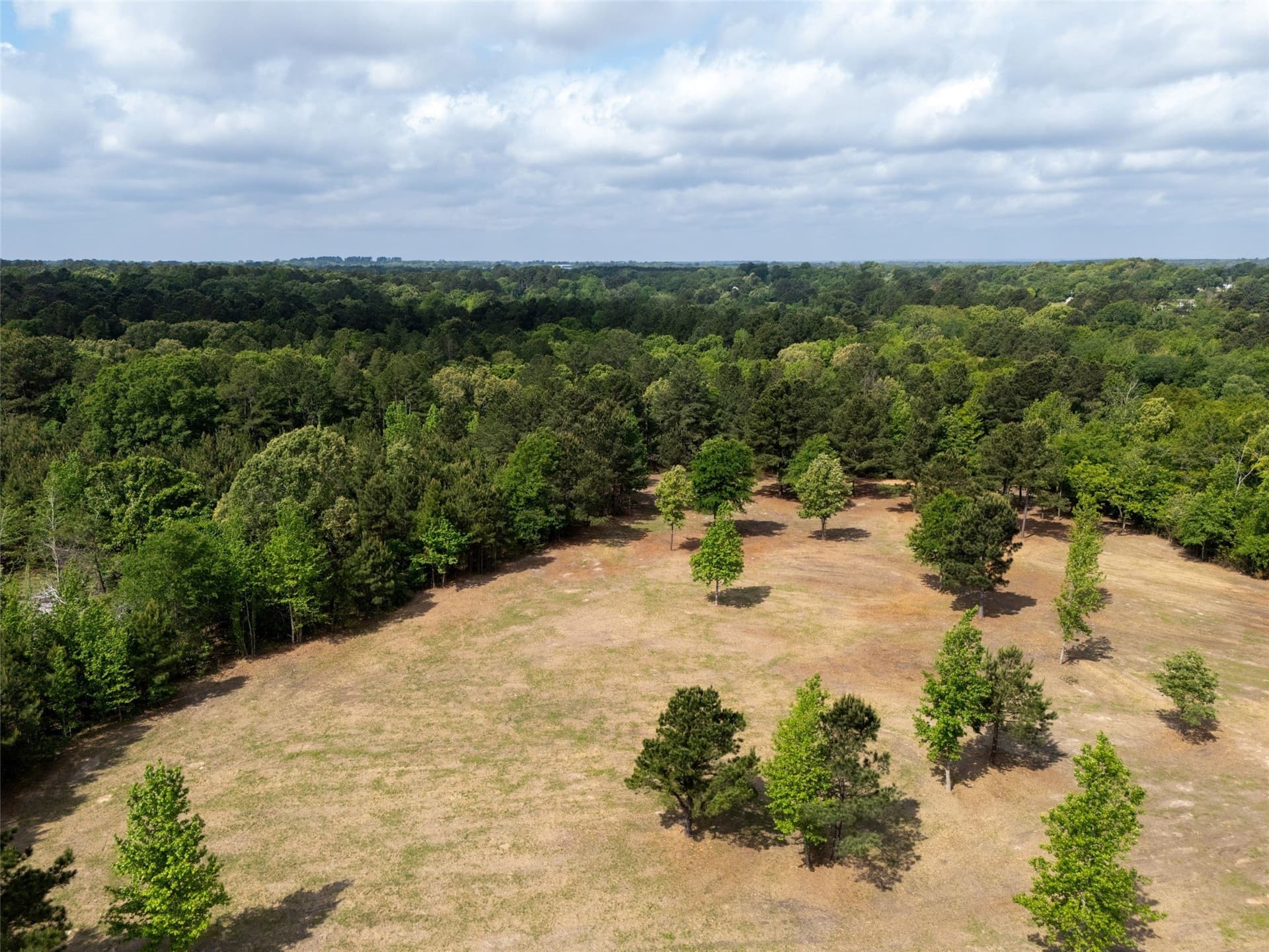 53.99 acres in Smith County - photo 8