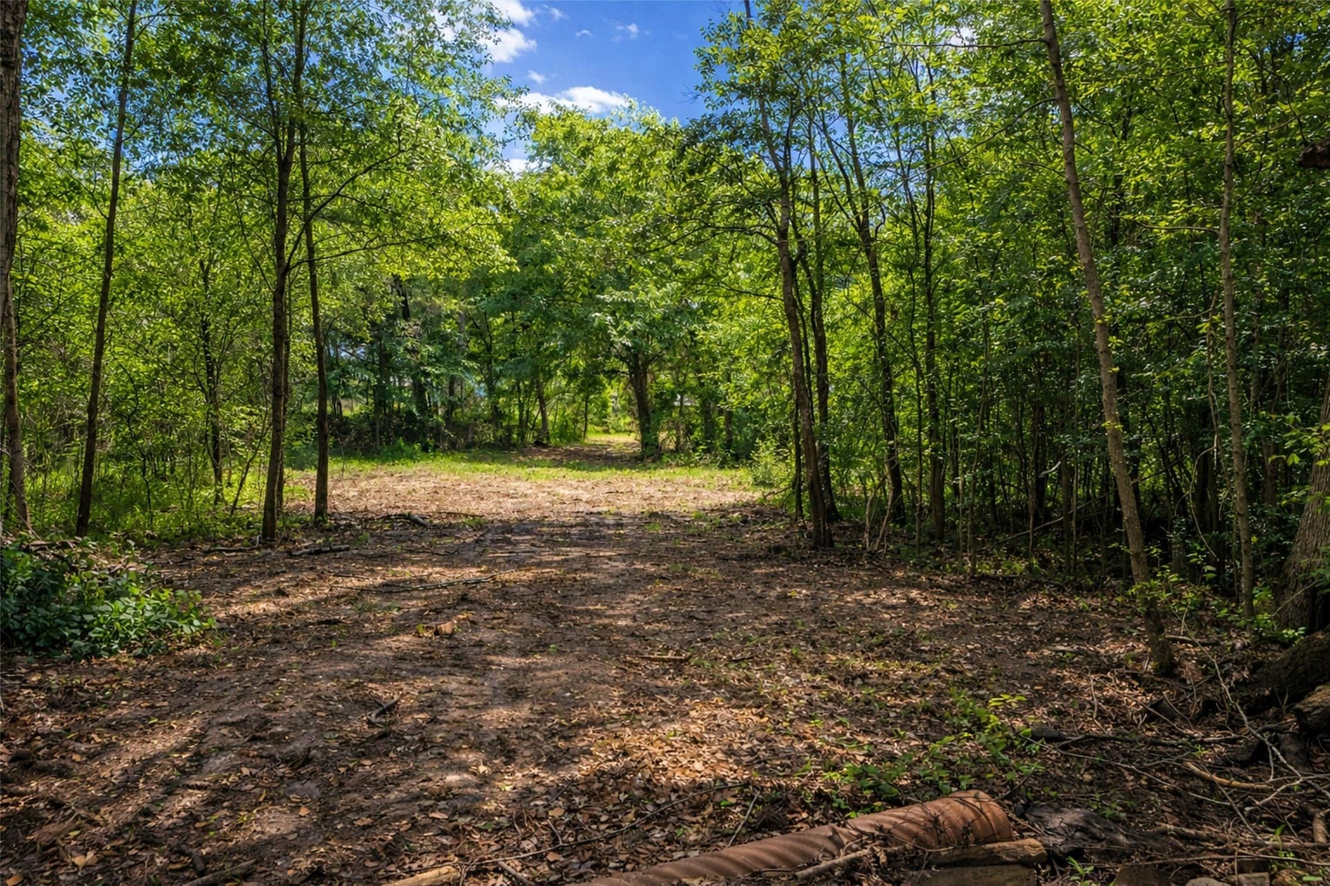 53.99 acres in Smith County - photo 4