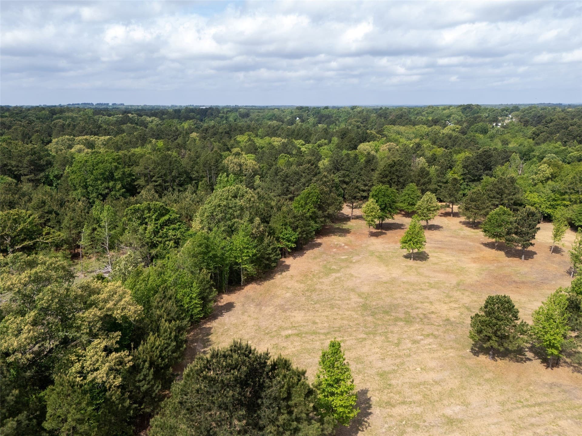 53.99 acres in Smith County - photo 3