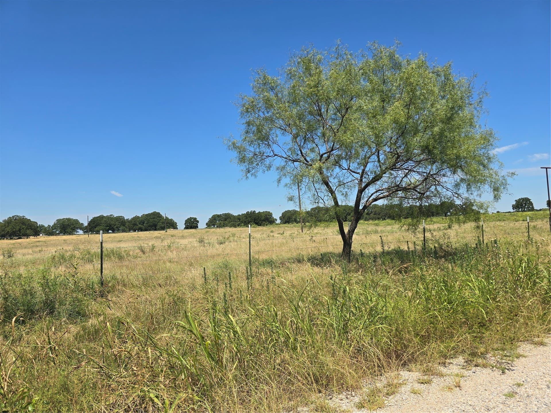 11.93 acres in Wise County - photo 4