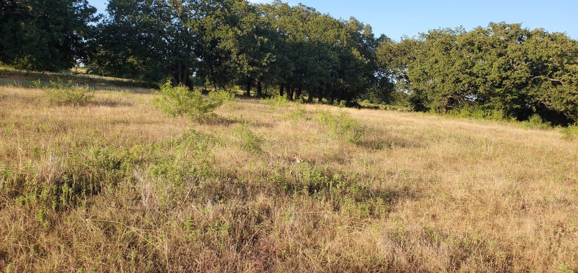 11.93 acres in Wise County - photo 5