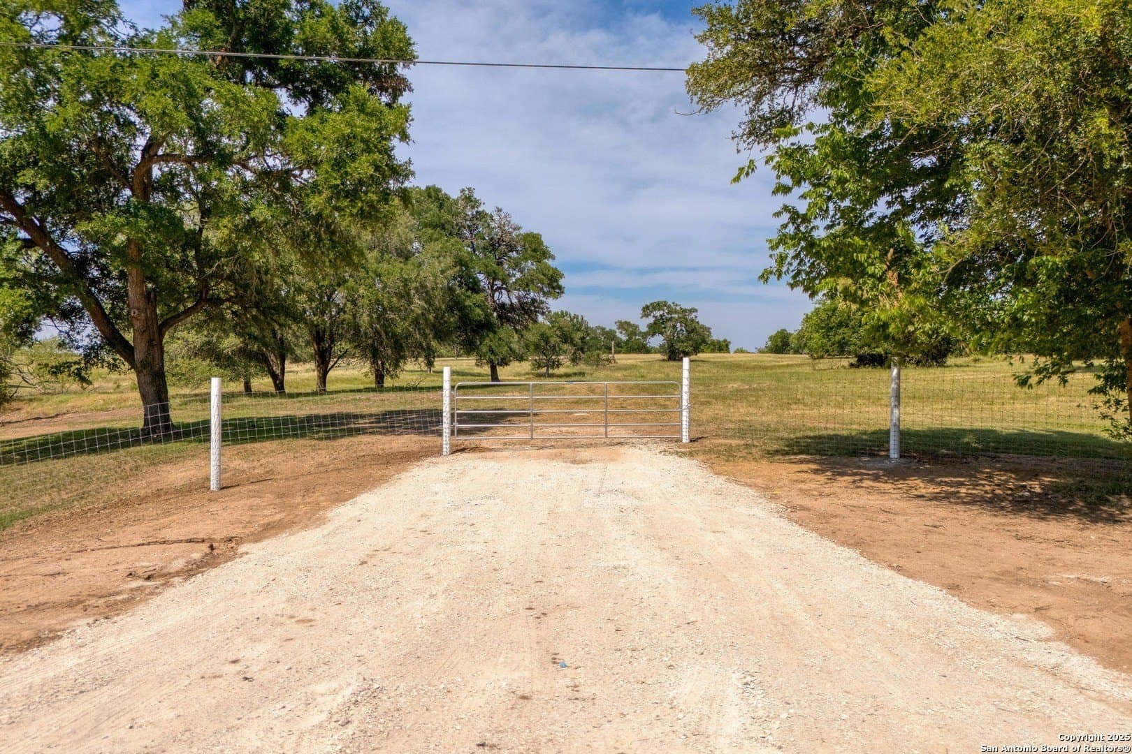 20.02 acres in Bastrop County gallery image 2