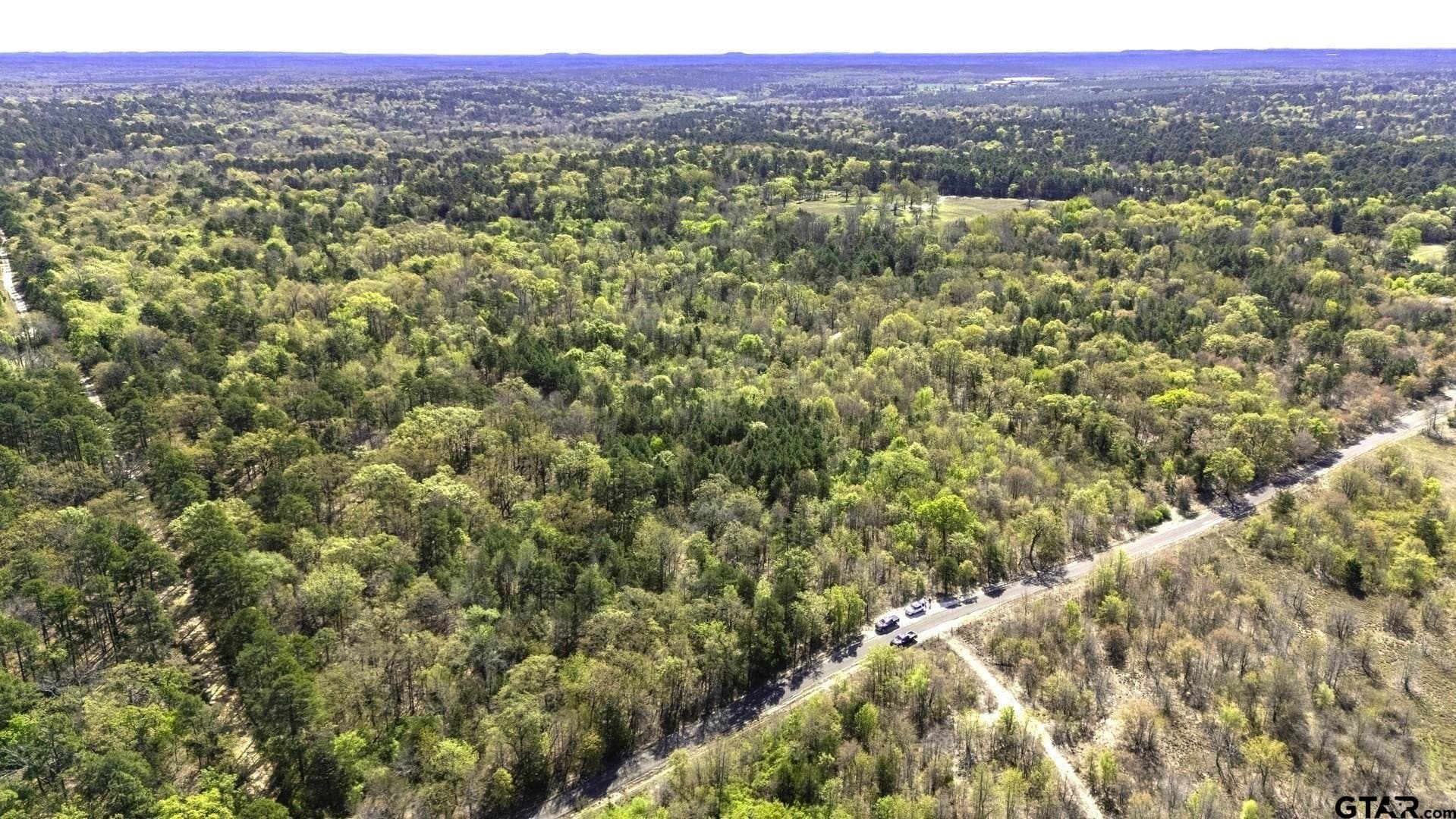19.08 acres in Wood County gallery image 2
