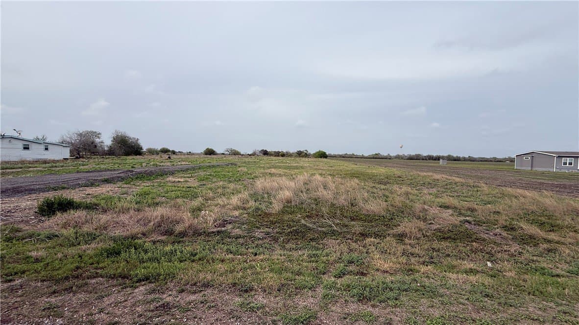 4 acres in San Patricio County gallery image 2