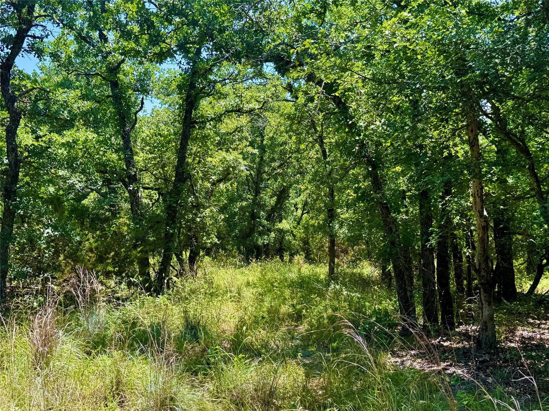 10.01 acres in Parker County - photo 11