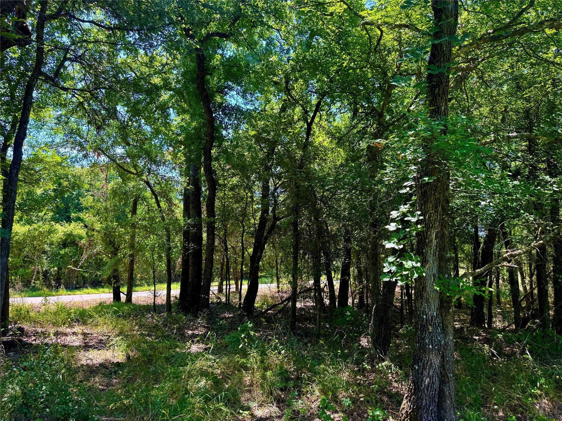 10.01 acres in Parker County - photo 7