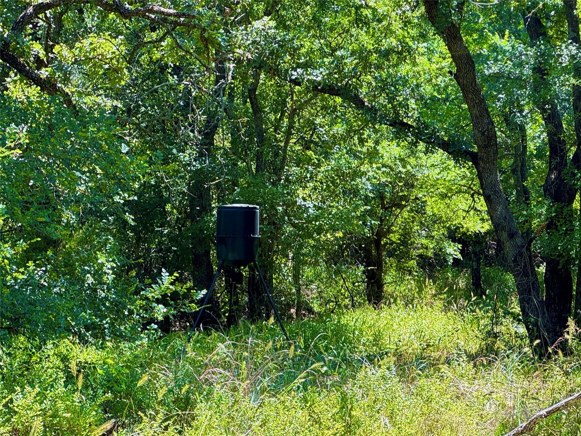 10.01 acres in Parker County - photo 9