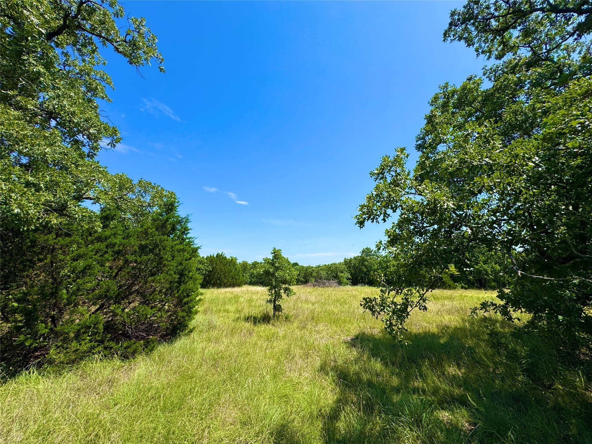 10.01 acres in Parker County - photo 2