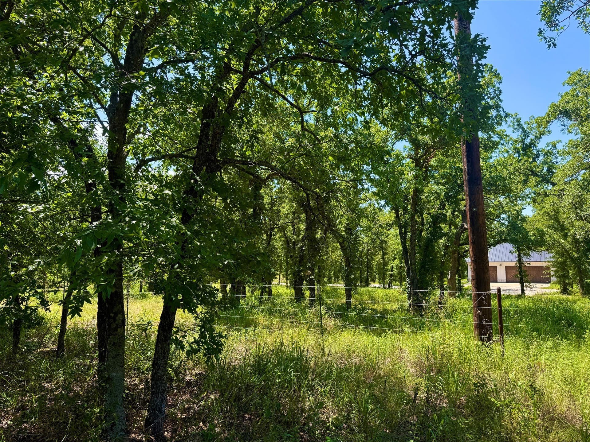 10.01 acres in Parker County - photo 18