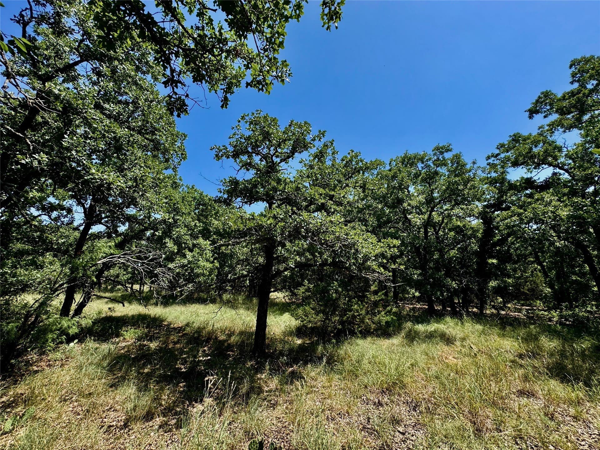 10.01 acres in Parker County - photo 14
