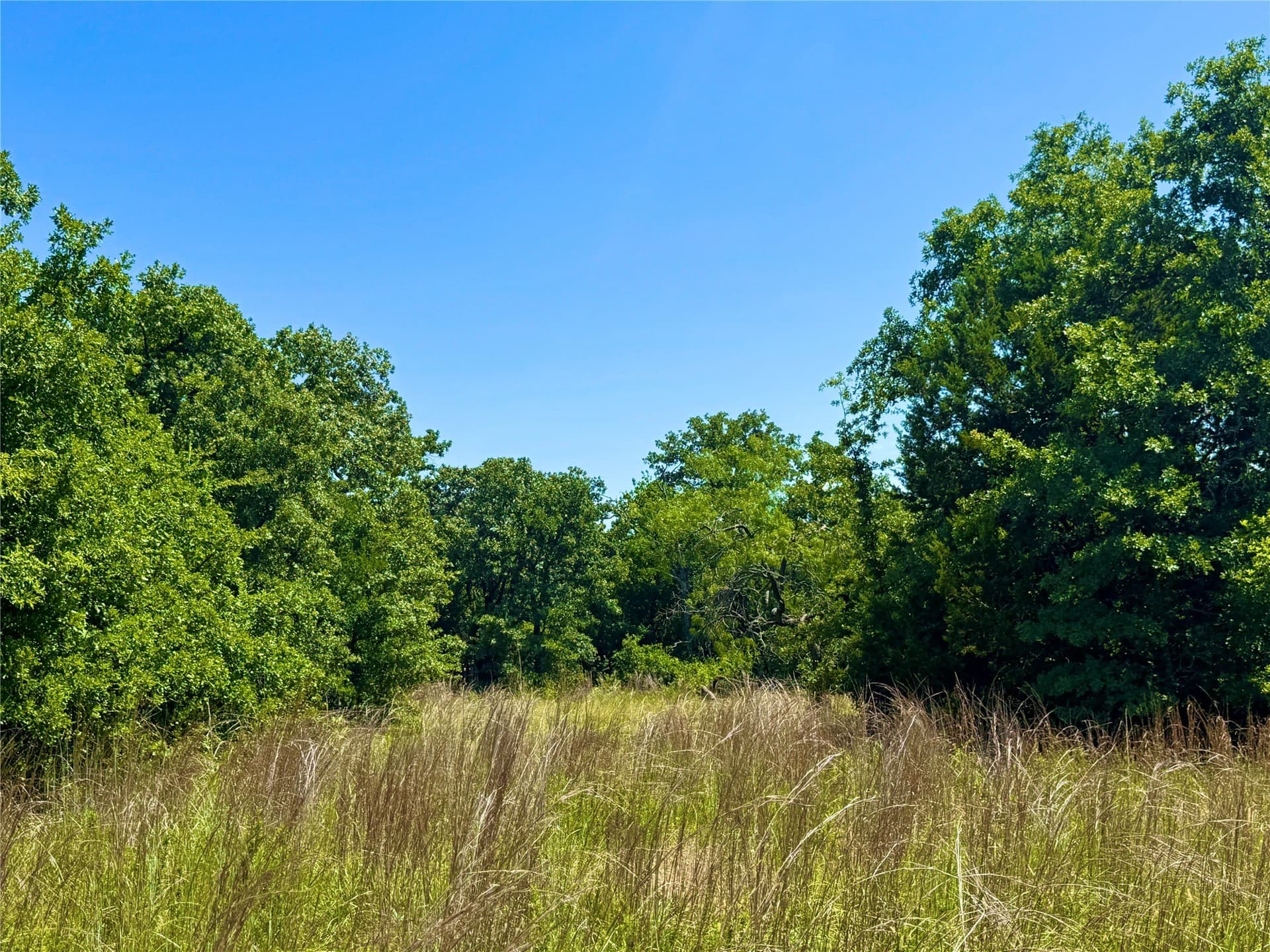 10.01 acres in Parker County - photo 12