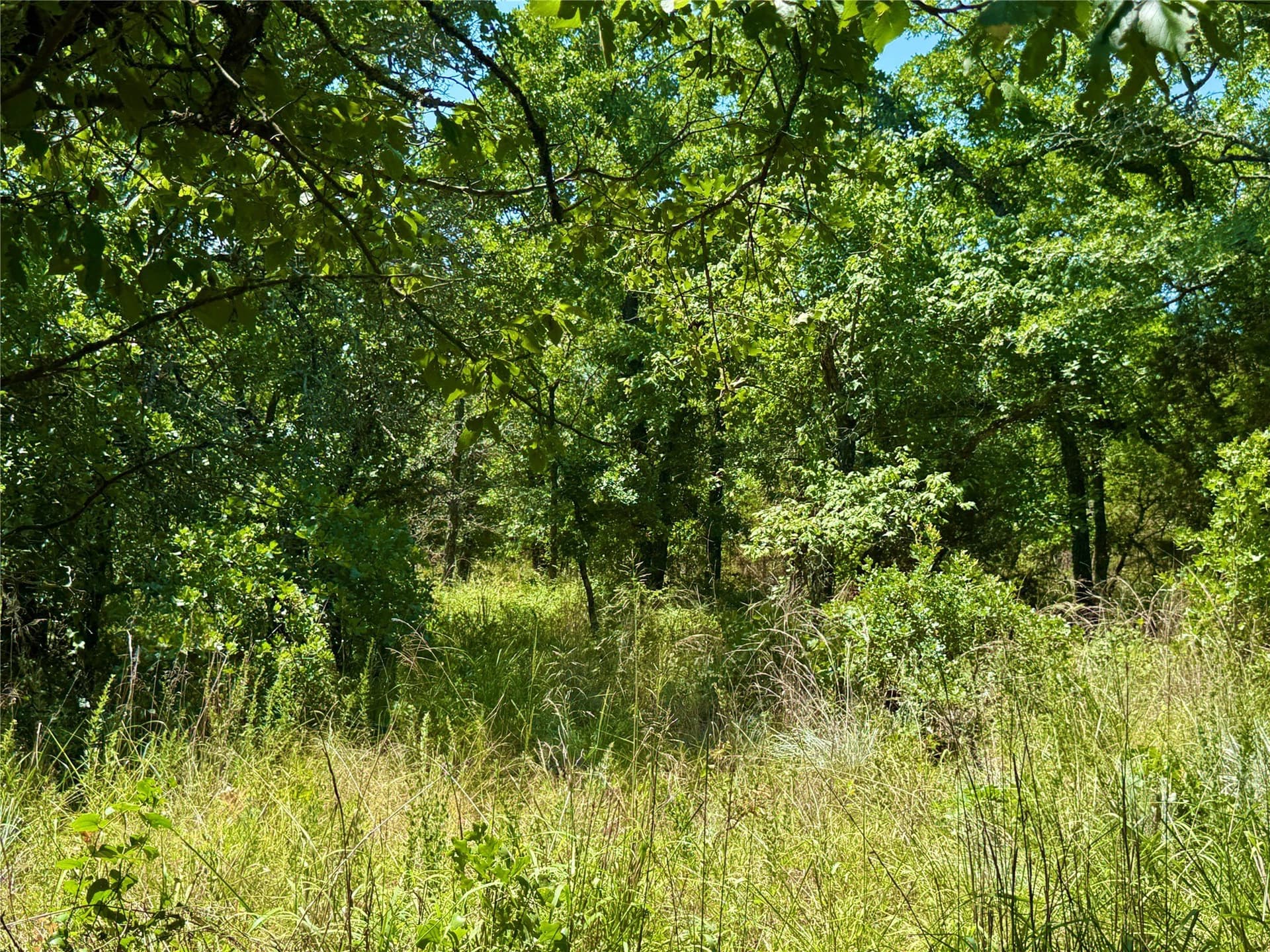10.01 acres in Parker County - photo 10
