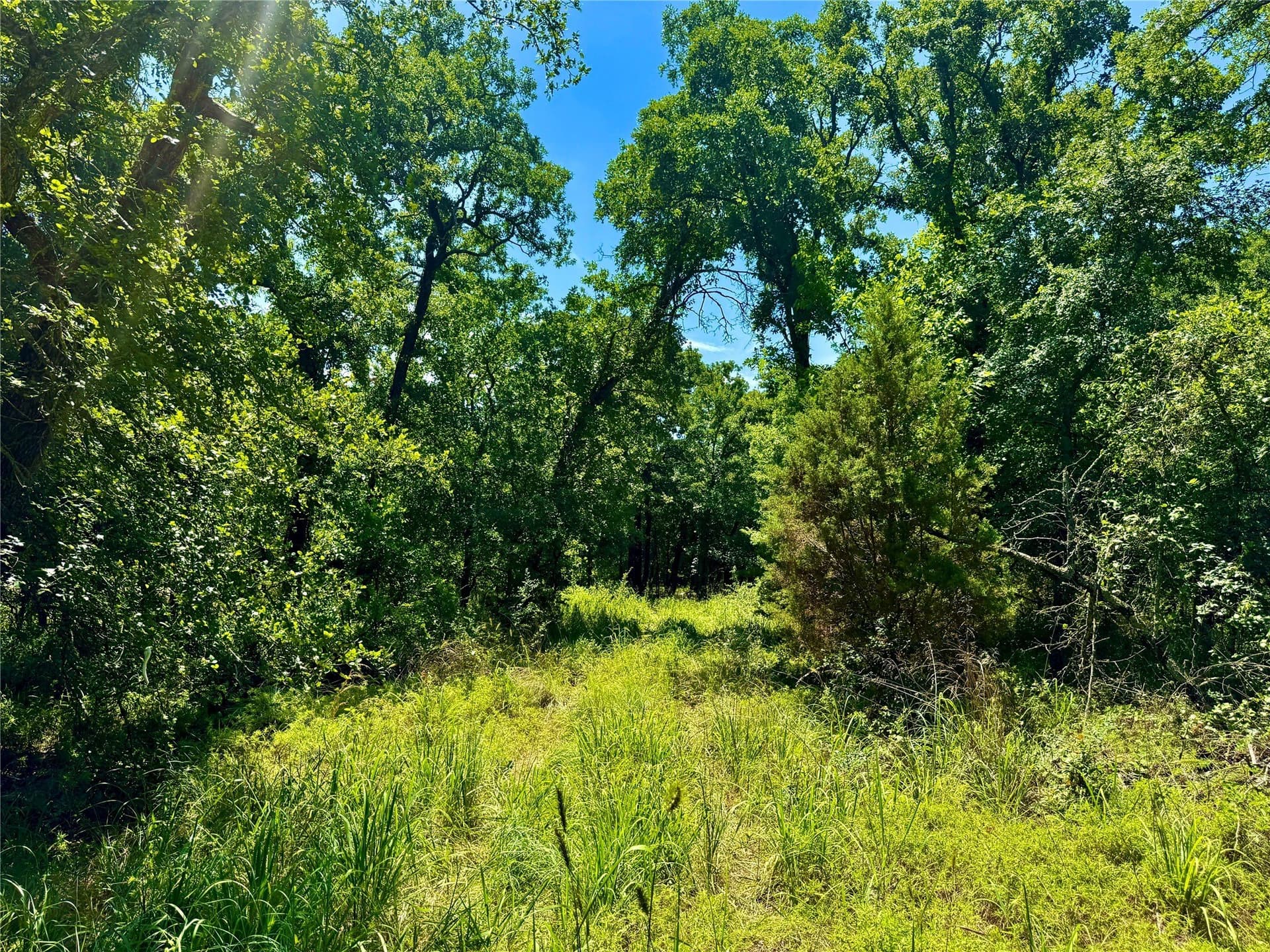 10.01 acres in Parker County - photo 8