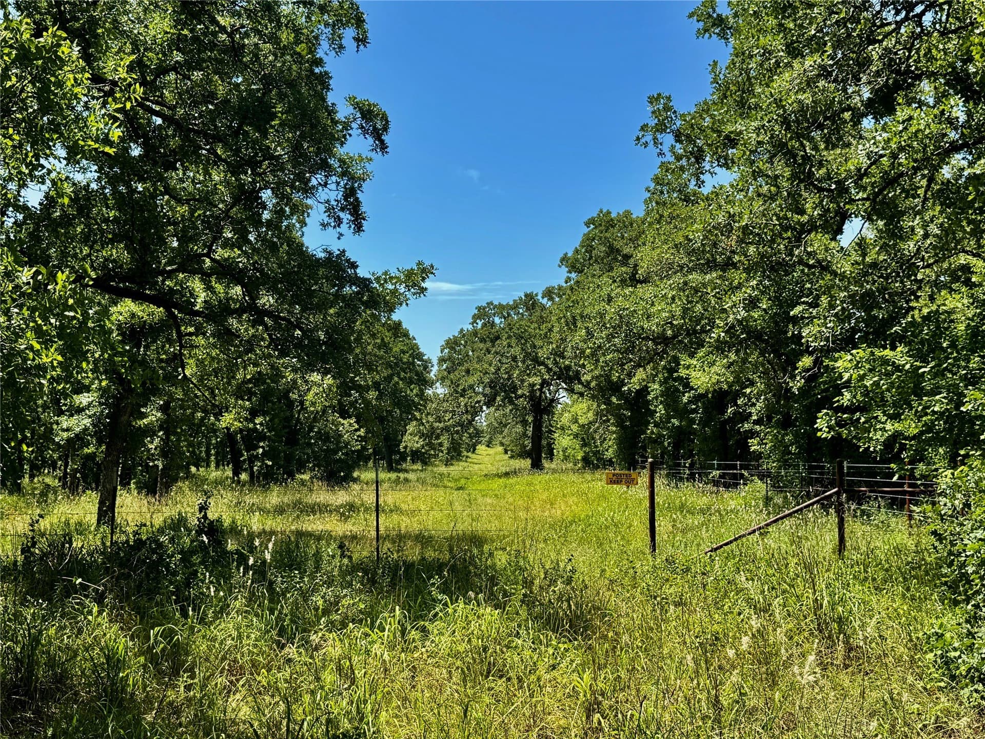 10.01 acres in Parker County - photo 4