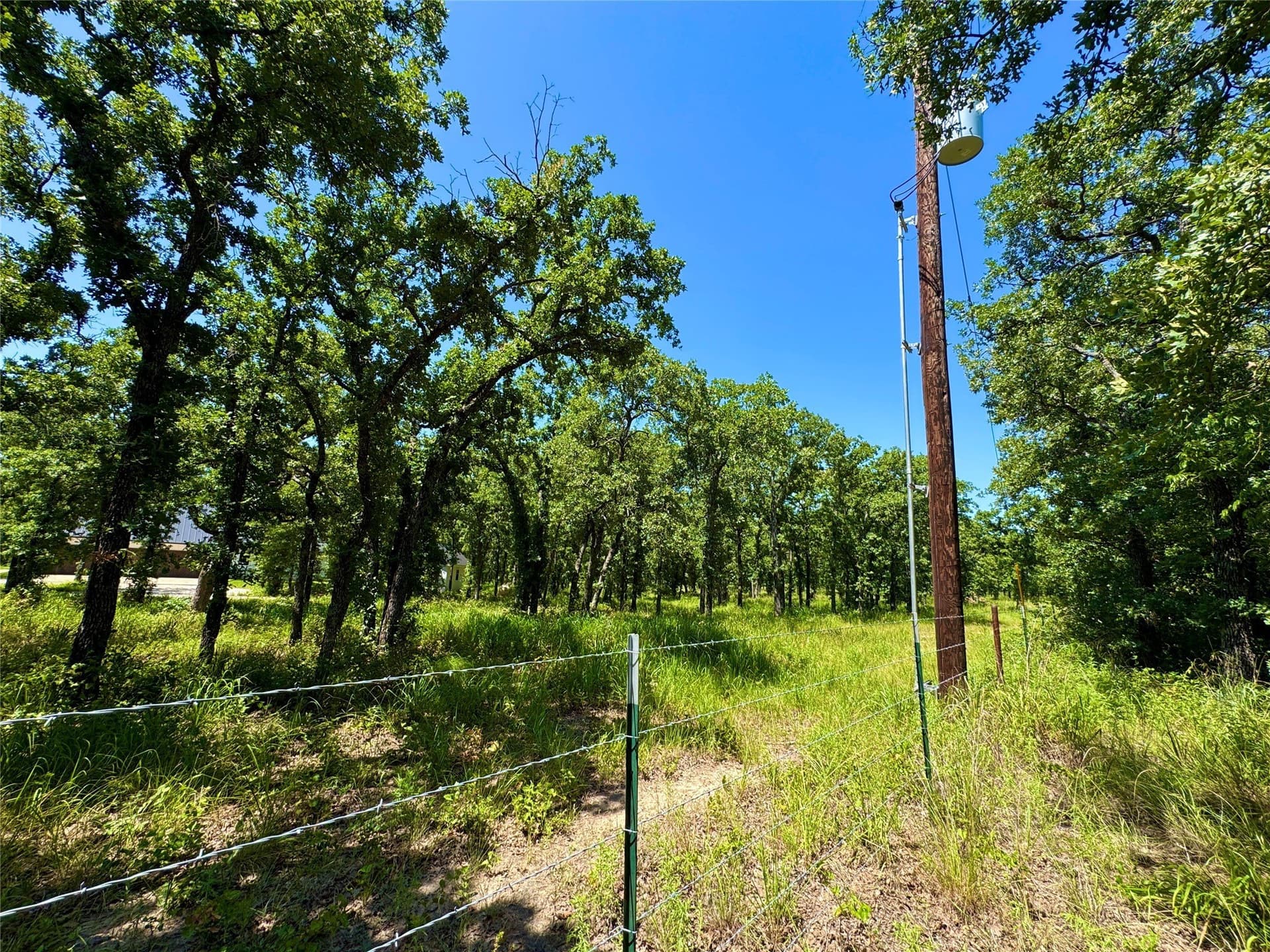 10.01 acres in Parker County - photo 16