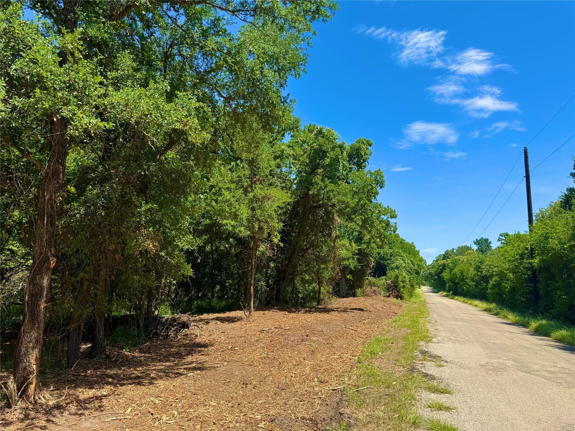 10.01 acres in Parker County - photo 5