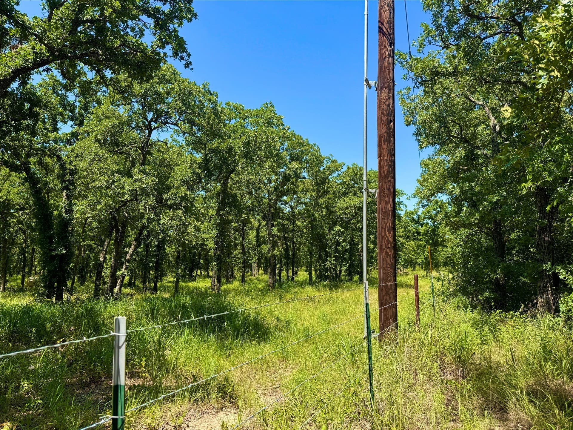 10.01 acres in Parker County - photo 17