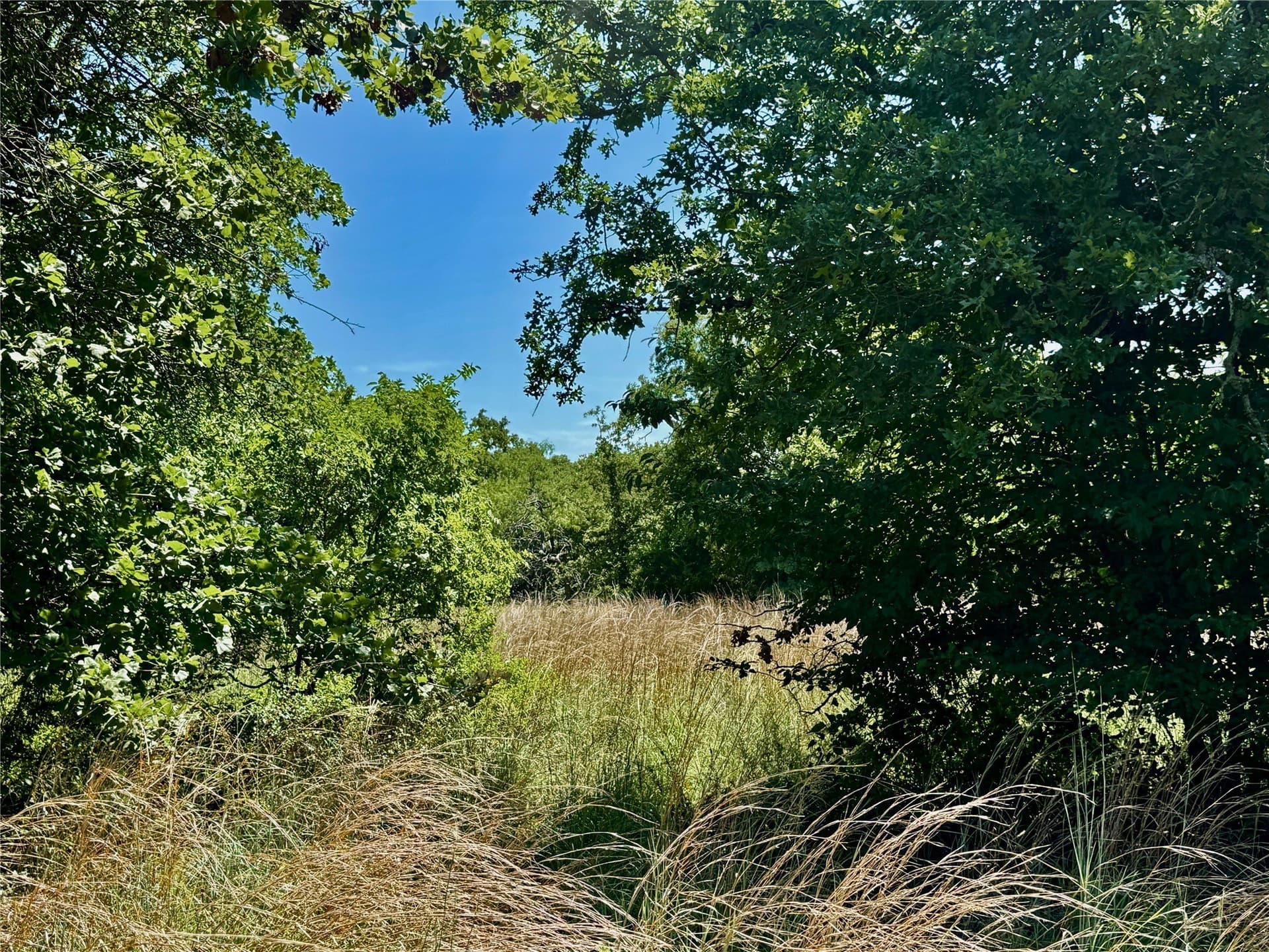10.01 acres in Parker County - photo 13