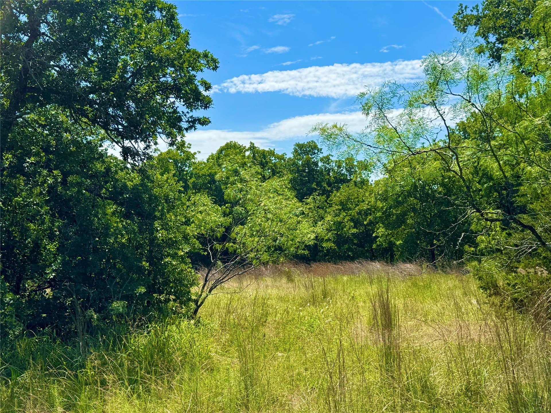 10.01 acres in Parker County - photo 3