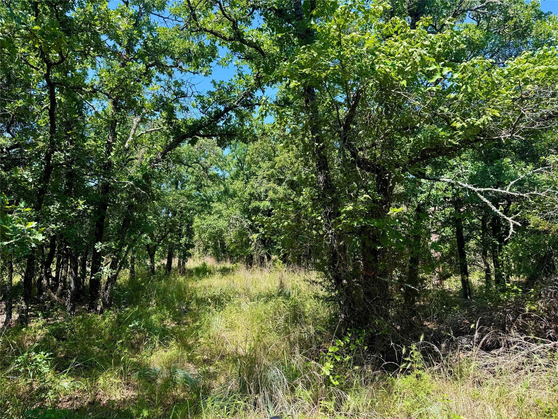 10.01 acres in Parker County - photo 19