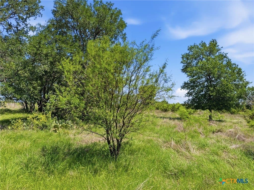 11.01 acres in Hamilton County - photo 8