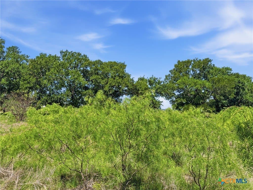 11.01 acres in Hamilton County - photo 10