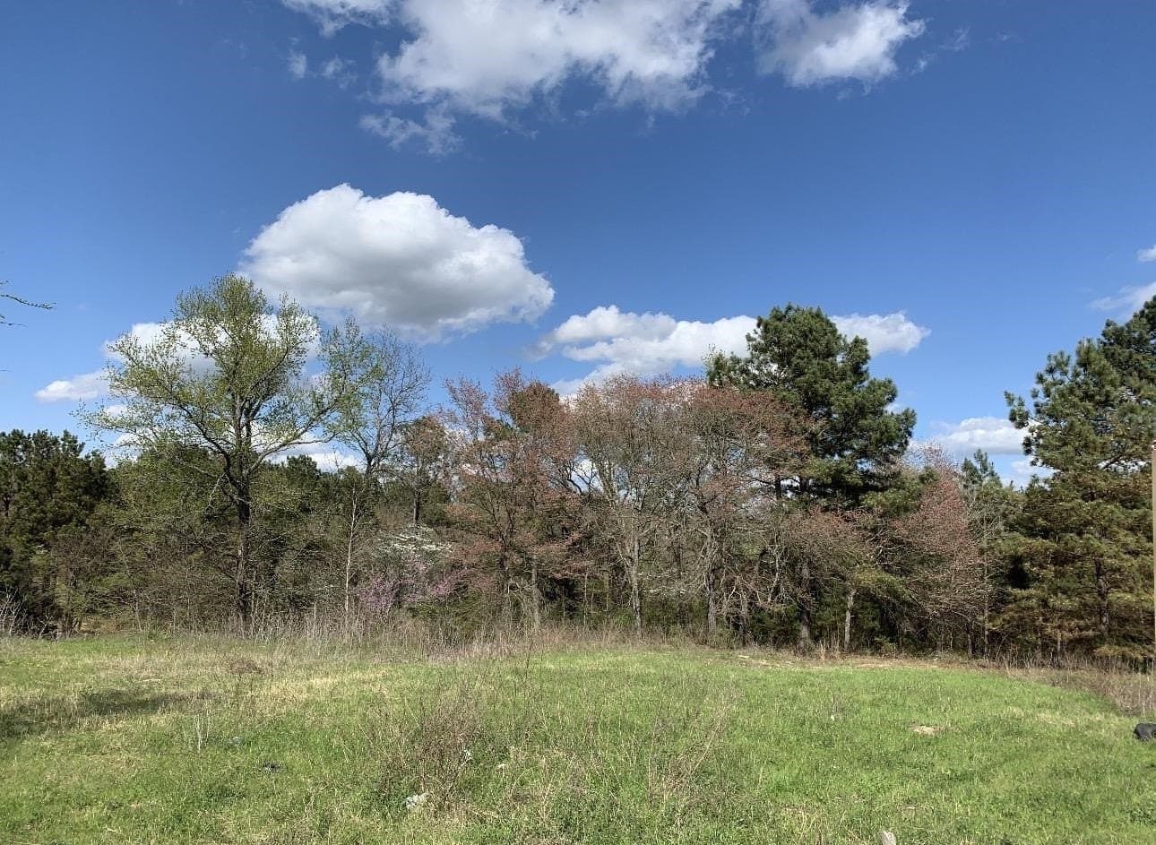 8.61 acres in Texas County - photo 13