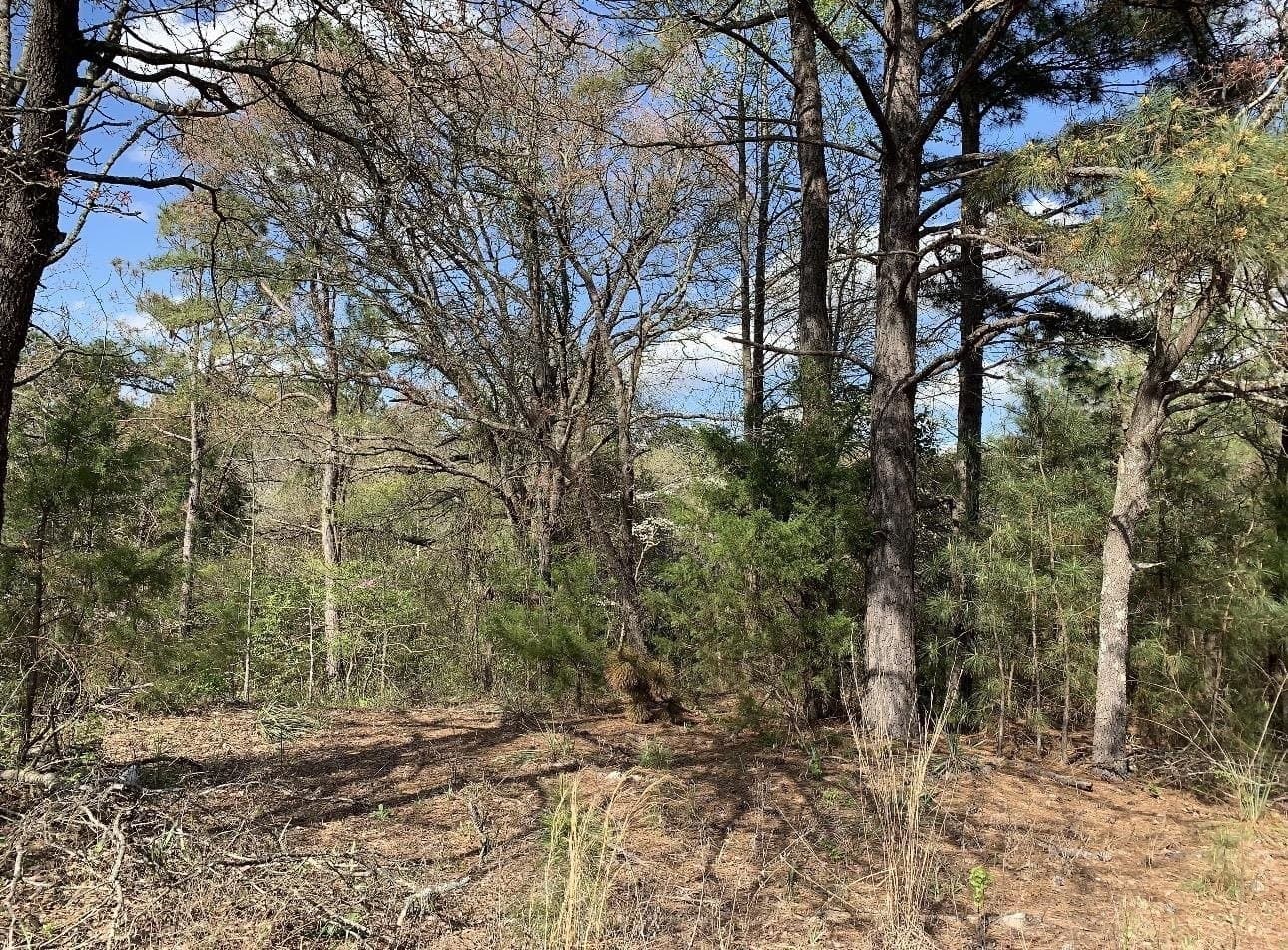 8.61 acres in Texas County - photo 10