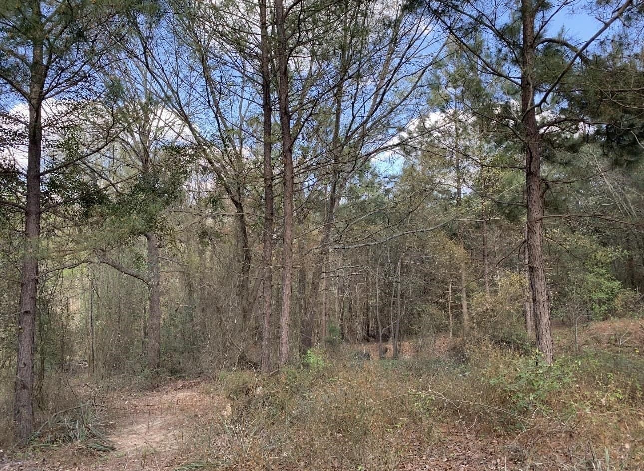 8.61 acres in Texas County - photo 8