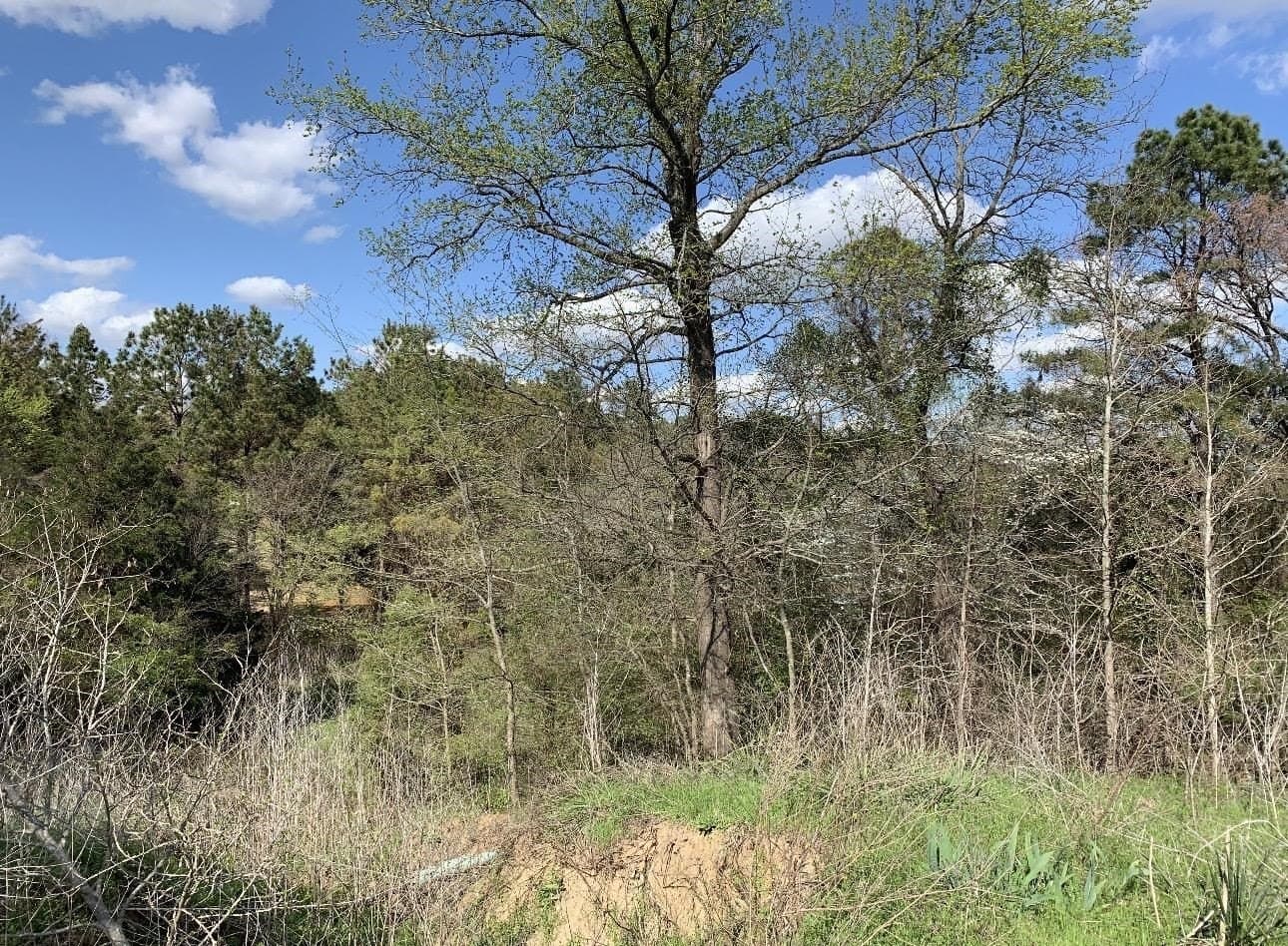8.61 acres in Texas County - photo 12