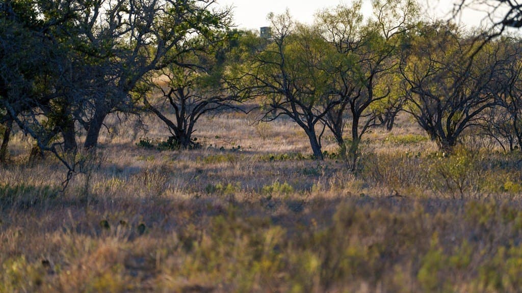 141 acres in Texas County featured view