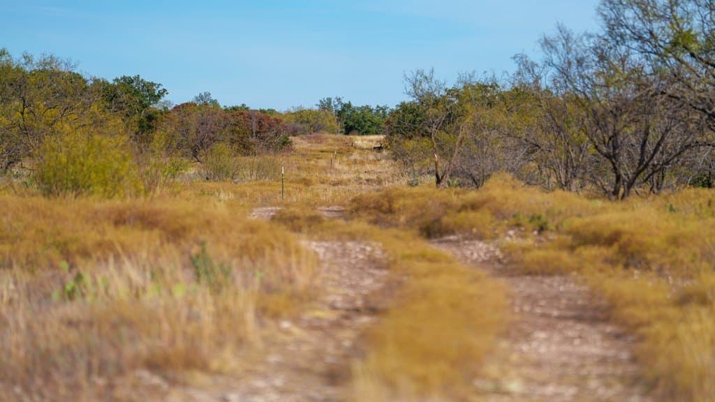 141 acres in Texas County gallery image 2