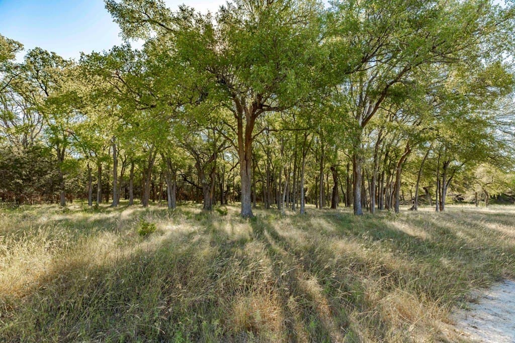 7.01 acres in Kerr County gallery image 4