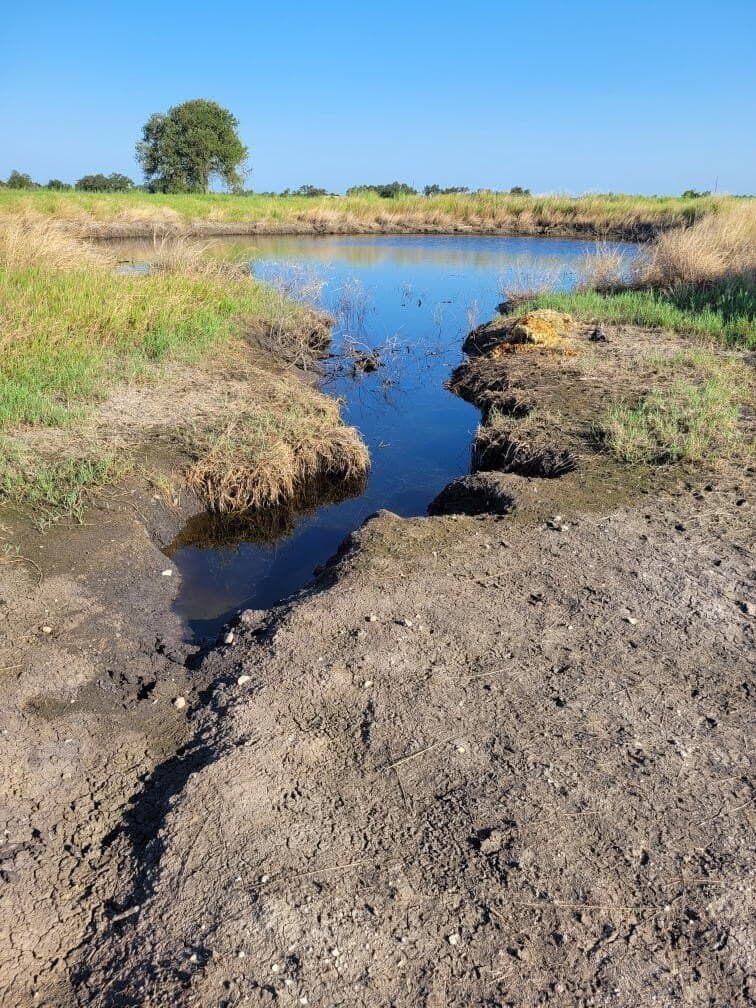 48.09 acres in Gillespie County - photo 47
