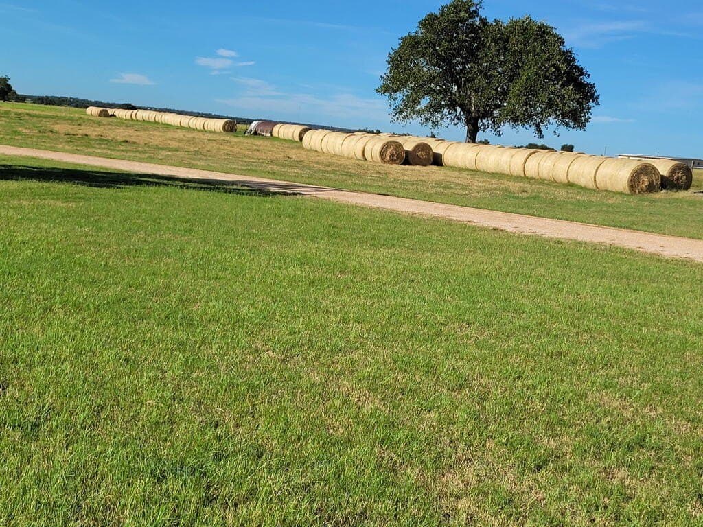 48.09 acres in Gillespie County - photo 46